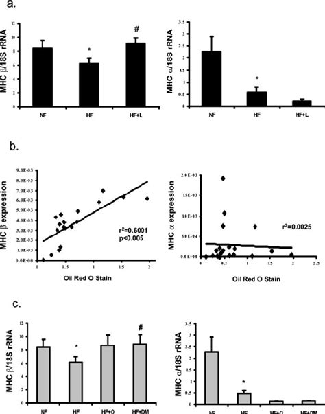 a) MHC- ␤ and MHC- ␣ expression is downregulated in the failing heart.... | Download Scientific ...