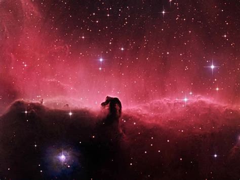 🔥 [40+] Horse Nebula Wallpapers | WallpaperSafari