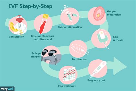 IVF & Intracytoplasmic Sperm Injection – Usha IVF