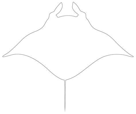 Manta Ray Outline - CleverFish Line Drawing