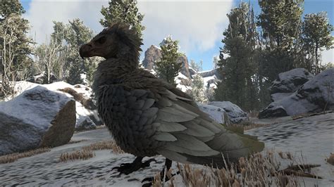 How to tame Argentavis in ARK: Lost Island in 2022