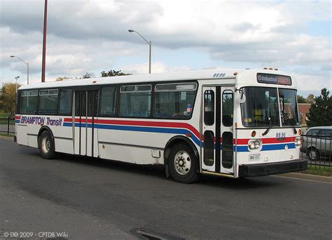 File:Brampton Transit 8896-a.jpg - CPTDB Wiki