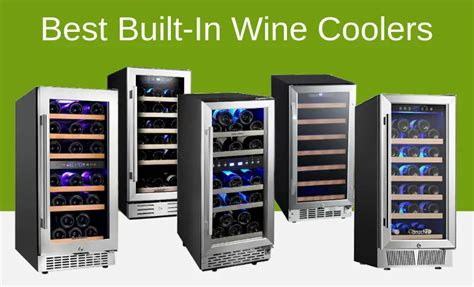 Best Built-In Wine Coolers 2021 - Serve My Drink