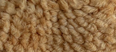 Short Smooth Beige Llama Fur Texture in the Form of a Knitted Product ...