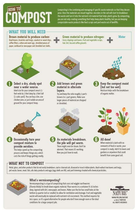 Inside Nature | Infographic: How-To Compost | Blog | Nature | PBS