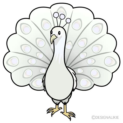 Peacock Black And White Clipart