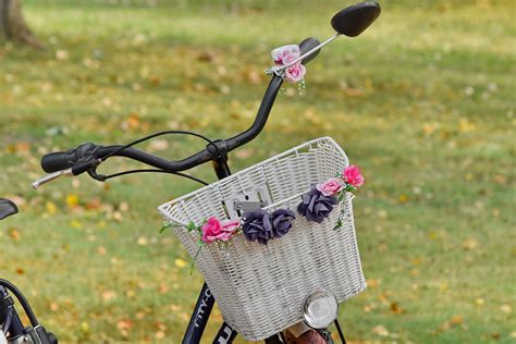 Free picture: bicycle, park, romance, summer, wicker basket, outdoors, grass, nature, recreation ...