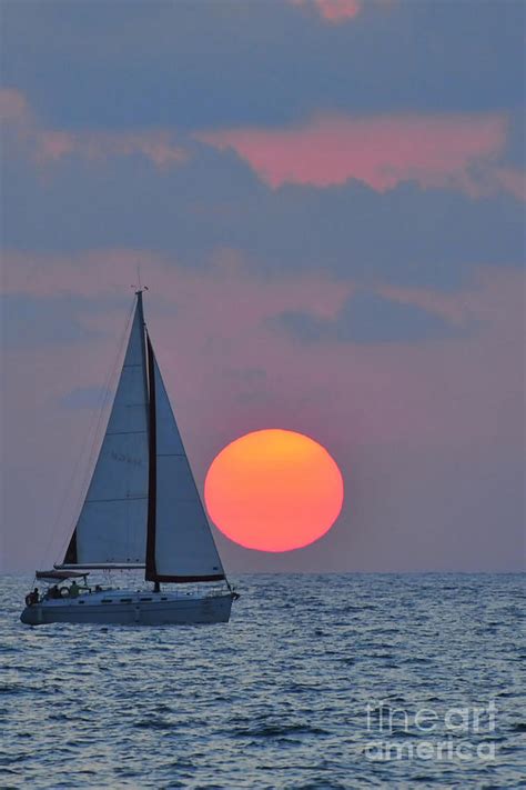 Sailboat at sunset Photograph by Shay Levy - Pixels