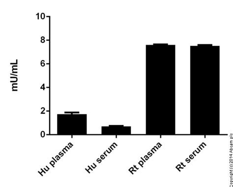 Glutamate Dehydrogenase Activity Assay Kit (ab102527) | Abcam