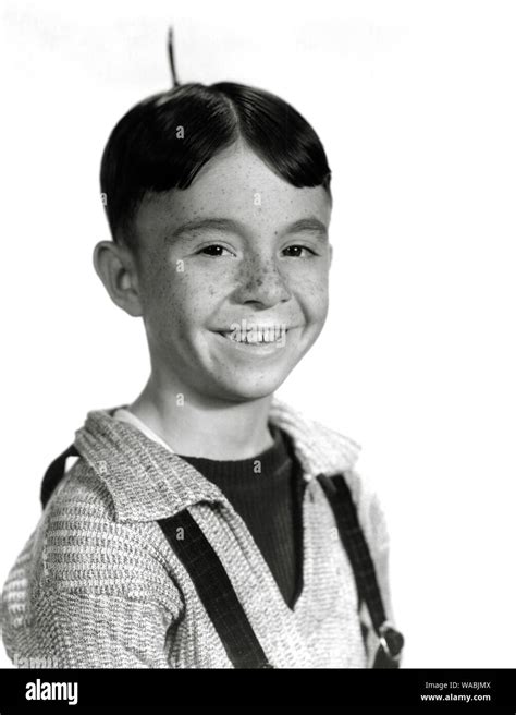 Carl "Alfalfa" Switzer, "Our Gang" (circa 1935) MGM File Reference # 33848-331THA Stock Photo ...