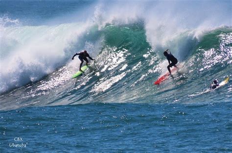 Surf em Ubatuba - Curiosidades de Ubatuba