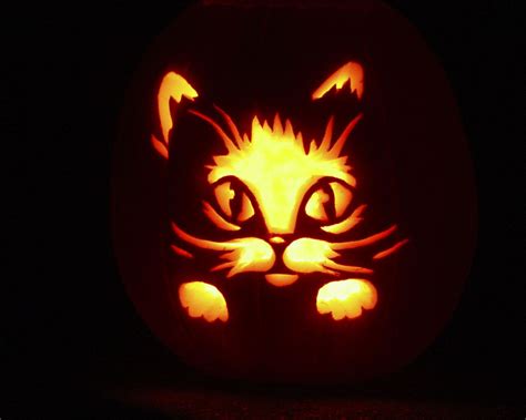 Have a happy, haunted Halloween! | Cat pumpkin carving, Pumpkin carving, Cat pumpkin