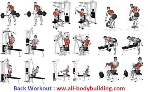 27++ Back workout routine at gym men | absworkoutcircuit