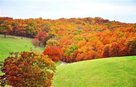 Fall Drives in the Ozarks