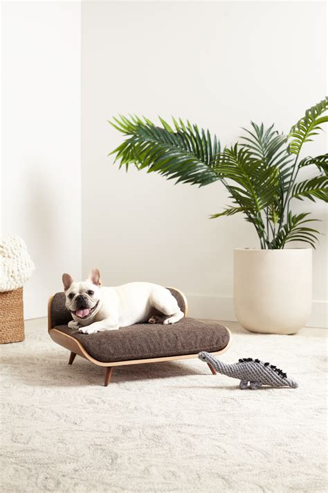 Sit, Stay, Style: The Ultimate Roundup of Mid-Century Modern Dog Beds, Crates, and Feeders - Hey ...