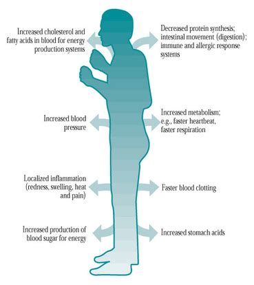 Physiological stress - The Dark World Of Stress