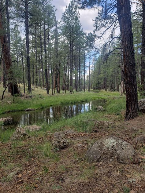 Springs Trail - Arizona | AllTrails