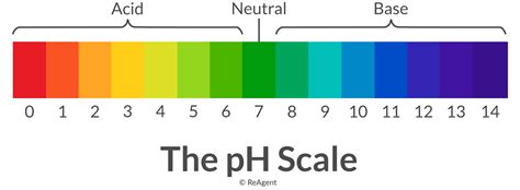 What is Neutralisation in Chemistry? | The Chemistry Blog