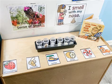 Five Senses Activities for Preschoolers - Sense of Smell Science Lesson - Play to Learn Preschool