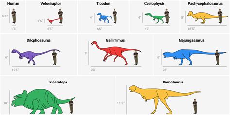 Gigantoraptor Size Comparison - img-Abigail