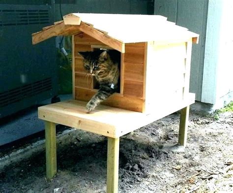 how to build an outdoor cat house s insulated outdoor cat house plans shelter making a heated ...