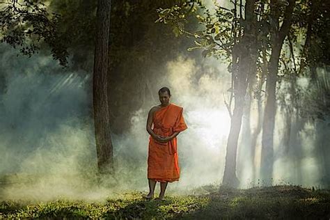 Buddha-Weekly-Walking Meditation Buddhist Monk in Forest-Buddhism - Buddha Weekly: Buddhist ...