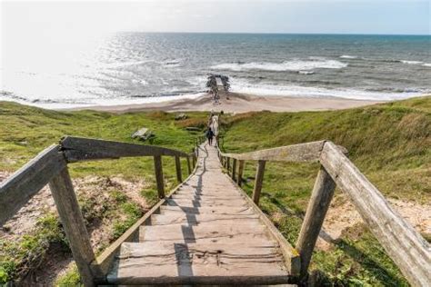 Danish Nature: Places, Plants and Animals