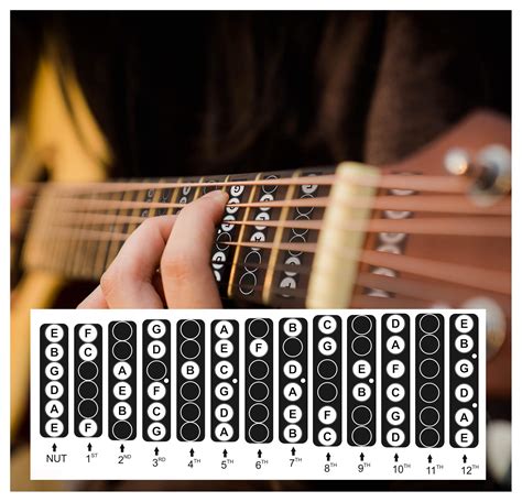 Buy Guitar Fretboard Stickers Vinyl Fingerboard Decals Frets Neck Notes Trainer for Beginner ...