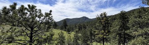 Burro Loop Trail: 522 Reviews, Map - Colorado | AllTrails