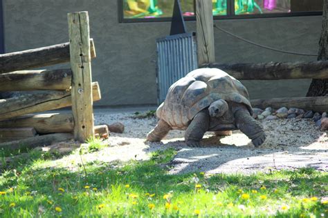 Blank Park Zoo (@blankparkzoo) / Twitter