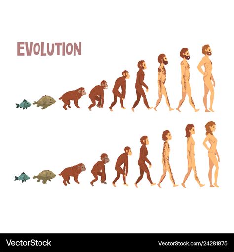 Key Ideas About The Theory Of Evolution