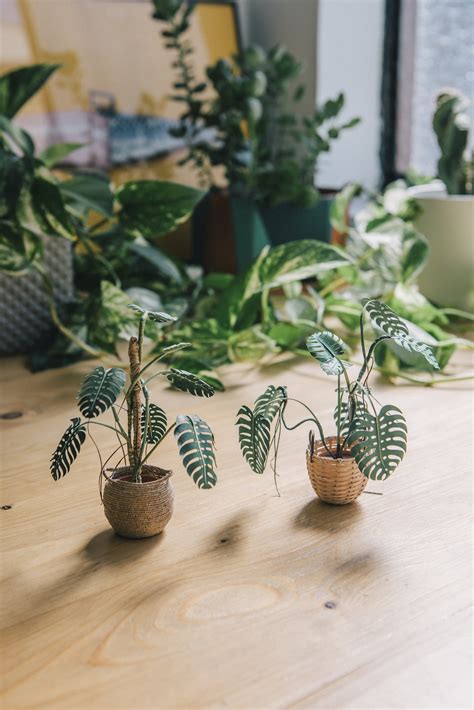 Paper Artist Creates Handmade Plant Sculptures That Fit on Your Fingers