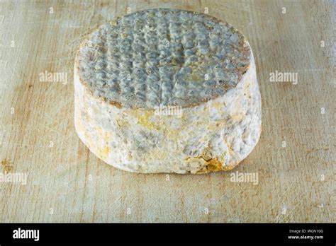 Rotten Cheese High Resolution Stock Photography and Images - Alamy