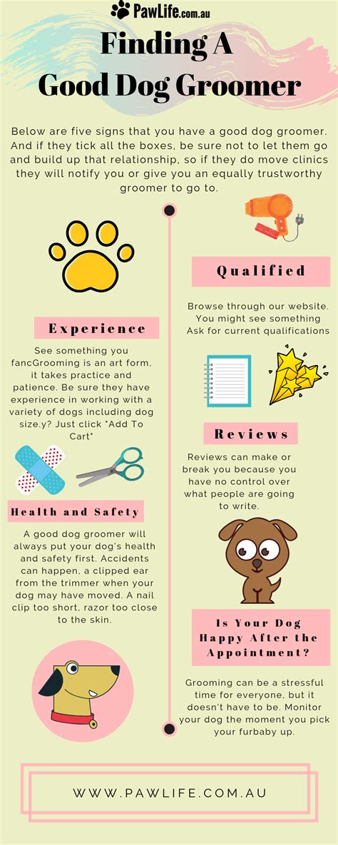 Tips On Finding A Good Dog Groomer - Paw Life | Dog groomers, Dog ...