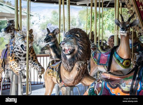 Carousel Animals High Resolution Stock Photography and Images - Alamy