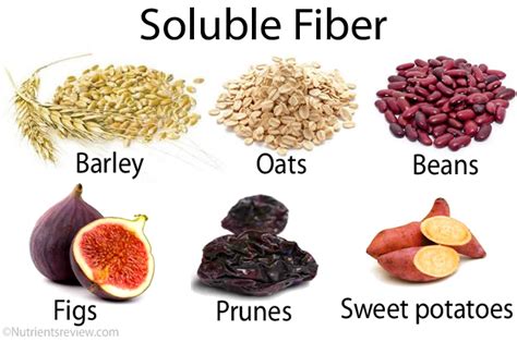 Soluble Dietary Fiber