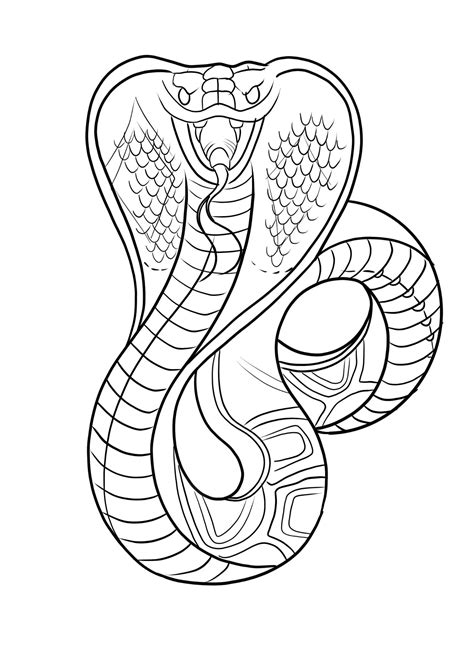 Snake Drawing, Tattoo Outline Drawing, Outline Drawings, Cobra Tattoo, Snake Tattoo, Chest ...