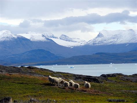 What to See in These 7 Cities in Greenland (PHOTOS) | HuffPost Life