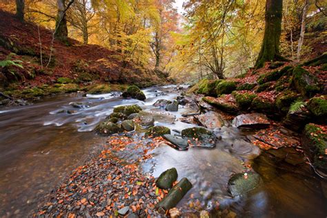 Birks of Aberfeldy Autumn - Taymouth Marina