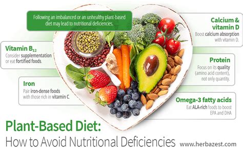 Plant-Based Diet: Common Nutritional Deficiencies & How to Avoid Them