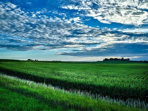 Iowa Cornfield At Sunset Photograph by Mountain Dreams - Fine Art America