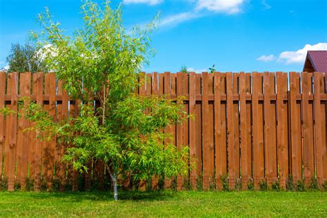 Wooden Fence