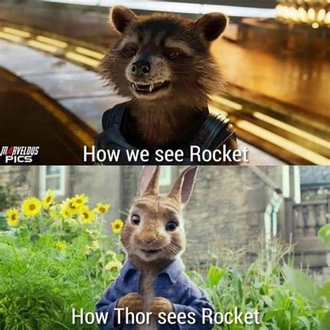 Rocket memes | Marvel images, Marvel funny, Marvel