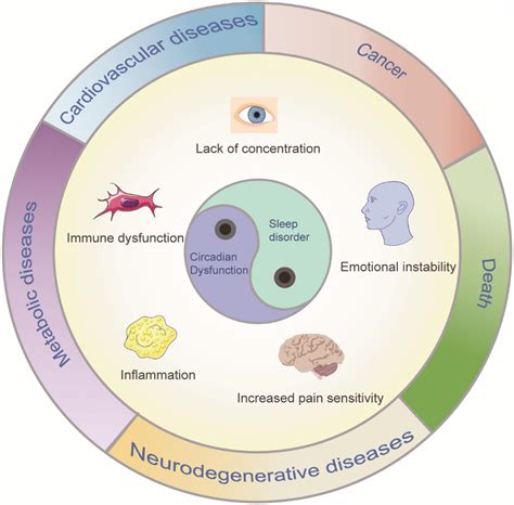 Frontiers | Research advances in the study of sleep disorders, circadian rhythm disturbances and ...