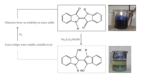 Chemical reactions involving indigo during the dyeing process. The... | Download Scientific Diagram