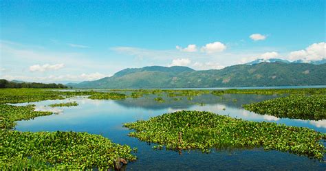 Honduras Snapshots: Lake Yojoa | TropixTraveler