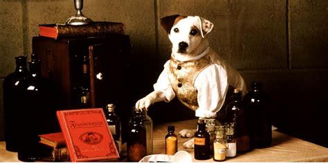 Wishbone Movie In The Works Based On Beloved 90s TV Show