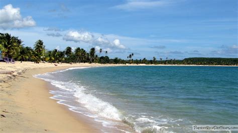 Sun Bay (Sombe) – The Perfect Beach for a Day-trip to Vieques | PRDayTrips