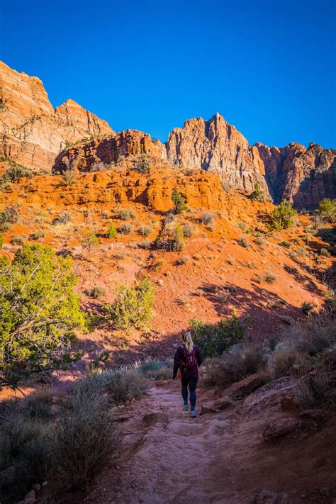 How To Hike Watchman Trail In Zion National Park