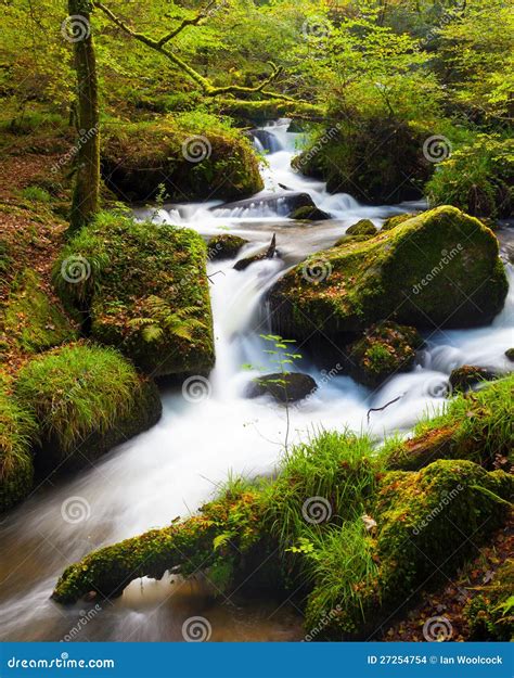 Waterfall in the Woods stock photo. Image of scenics - 27254754